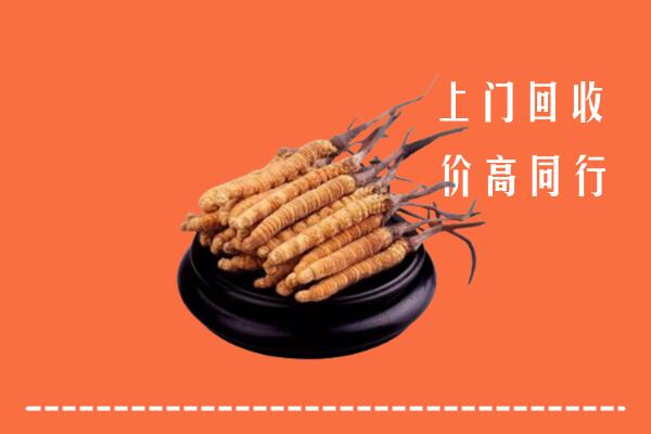 高价求购：朔州怀仁市回收散虫草