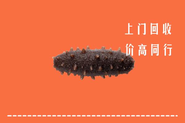 高价求购：朔州怀仁市回收海参