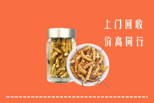 朔州怀仁市回收冬虫夏草